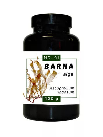 Barna alga 100 g (Quebeck)