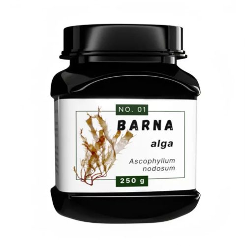 Barna alga 250 g (Quebeck)